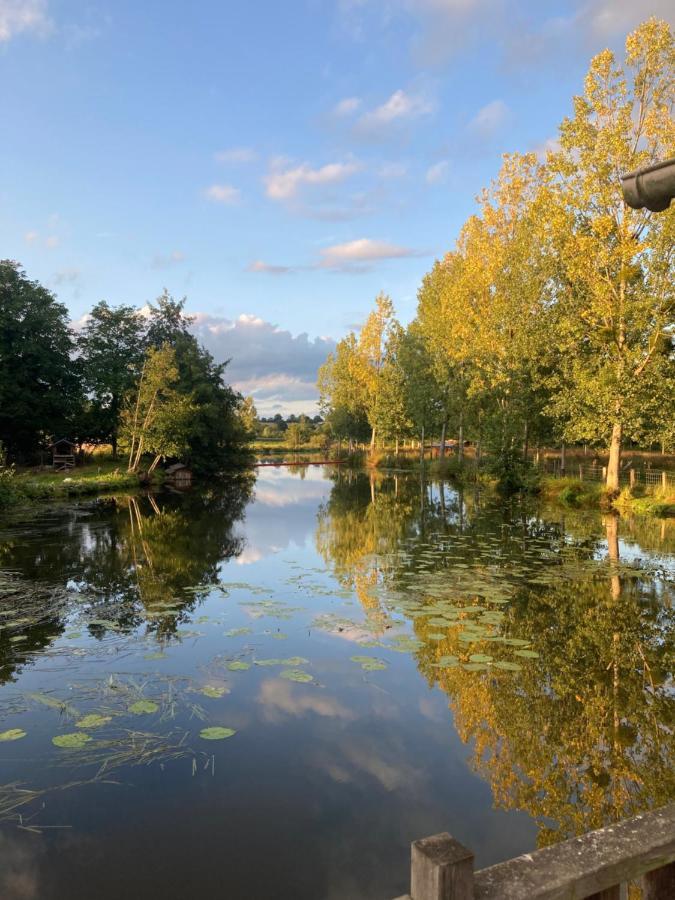 Saint-Aubin-des-Landes Le Moulin De Bretigneul B&B 외부 사진