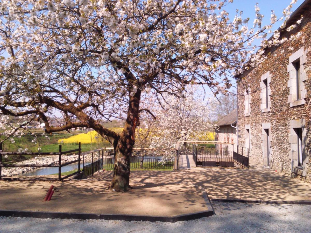 Saint-Aubin-des-Landes Le Moulin De Bretigneul B&B 외부 사진